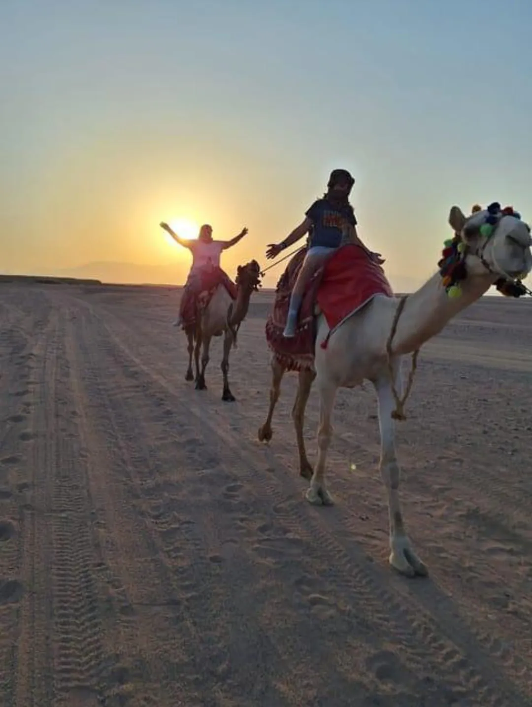 🐪✨ Desert Safari Adventure – El Gouna / Hurghada Desert 🏜️🔥 Desert safari Adventure El Gouna hurghada desert /IMG-20260702-WA0096.jpg